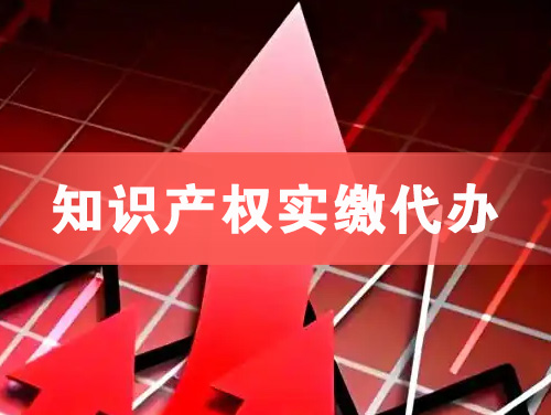 漳平知识产权实缴资本代办